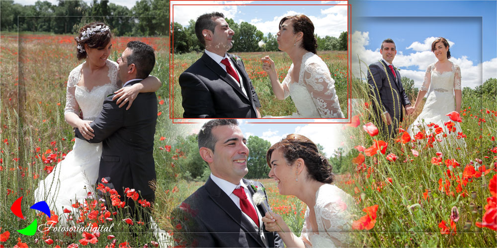 Fotos de boda entre amapolas, Berlanga de Duero