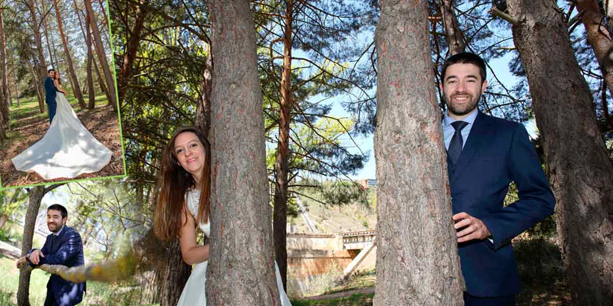 Maquetación ábum de boda entre pinos Soria