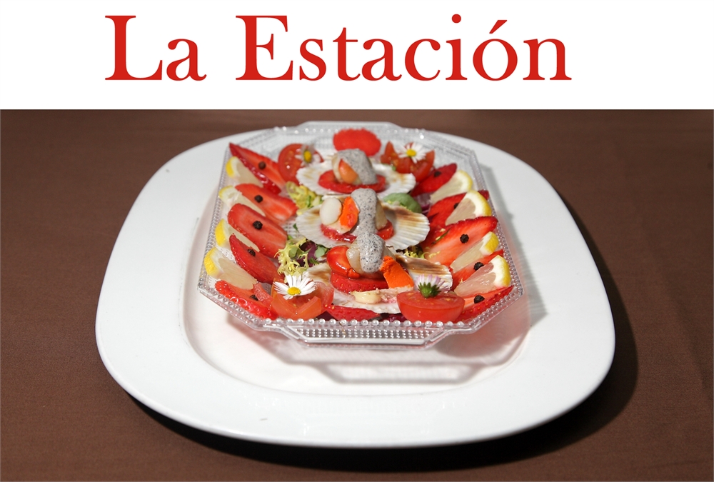 Fotografias de eventos gastronomia micologia Soria
