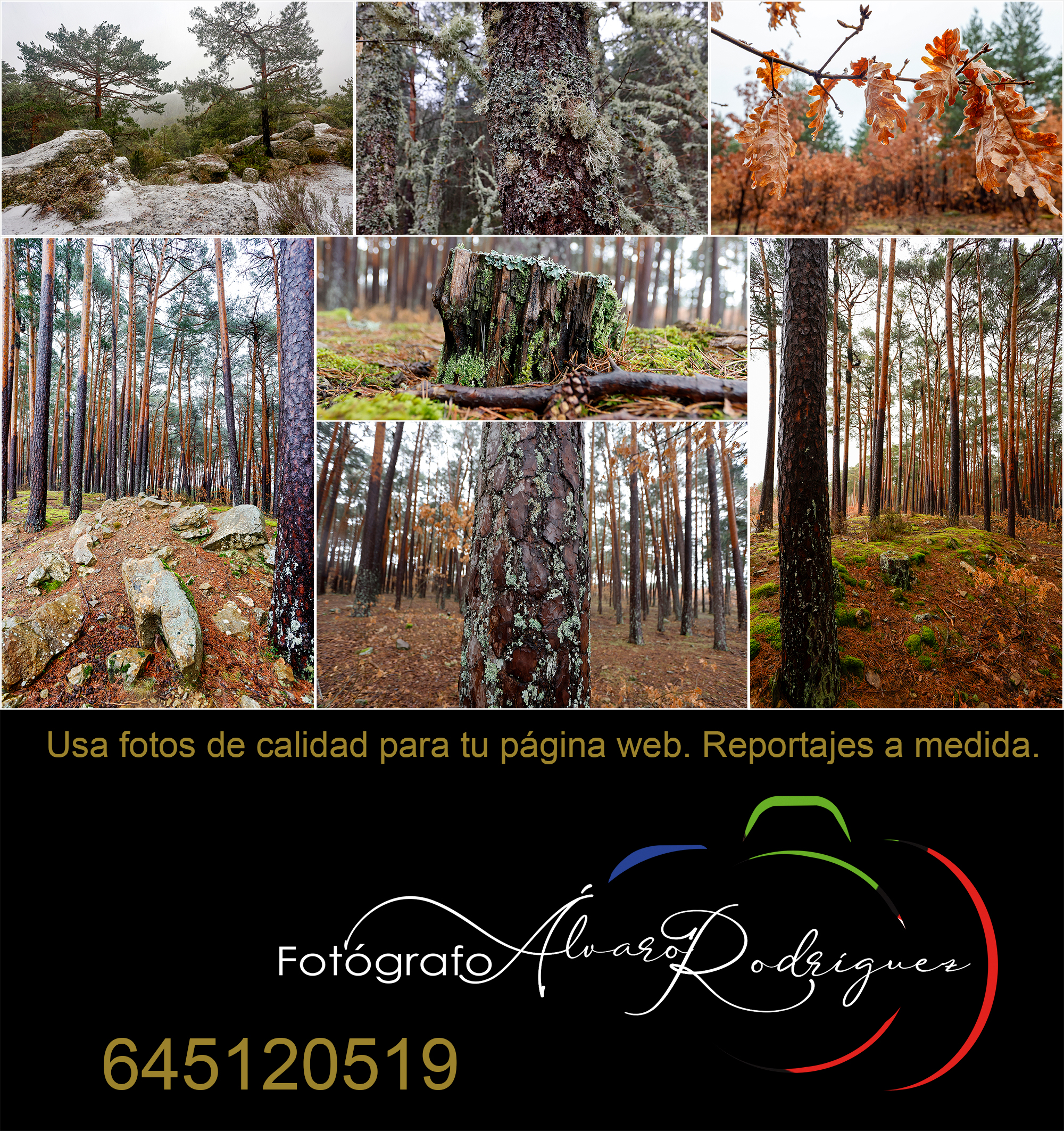../fotografia-pueblos-Soria/galeria-imagenes-lugares-naturaleza/venta-fotografias-reportajes-turismo-castroviejo